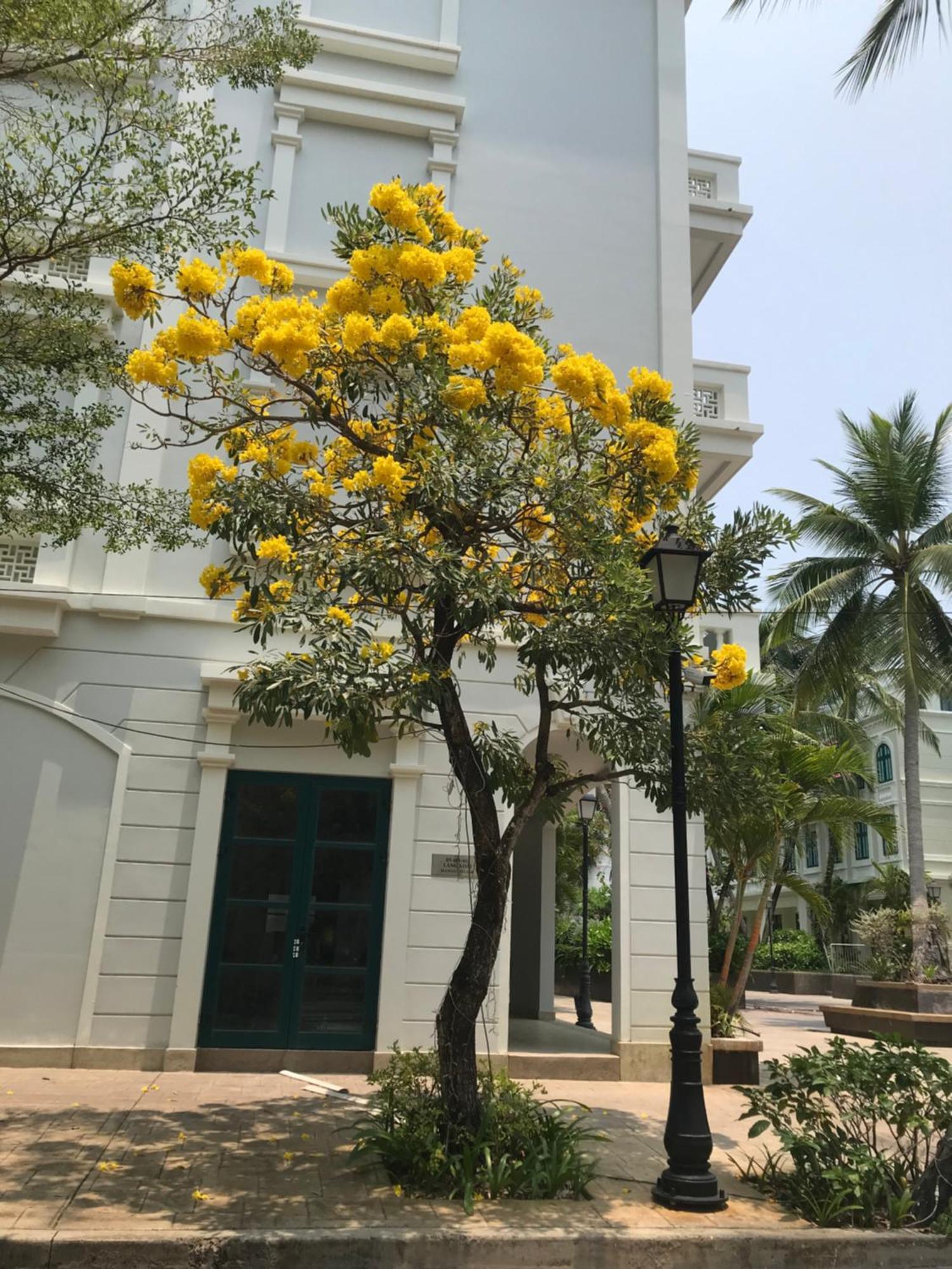 Kalia Hotel Phú Quốc Exterior foto